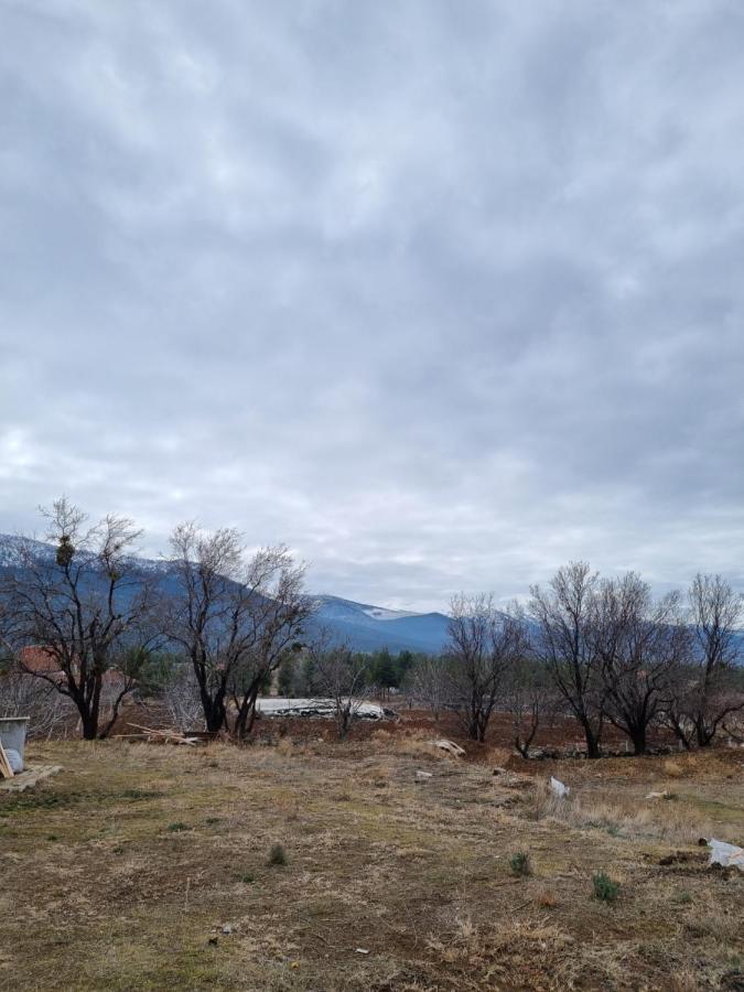 Appartement Rainfort Turizm Sanayi Ve Ticaret Ltd Sti à Denizli  Extérieur photo